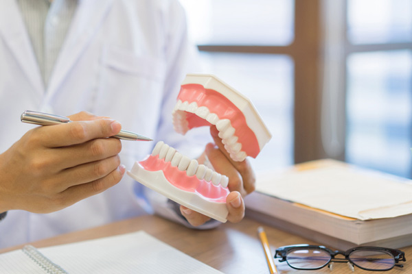 Doctor pointing to gums with pen on model of teeth and jaw